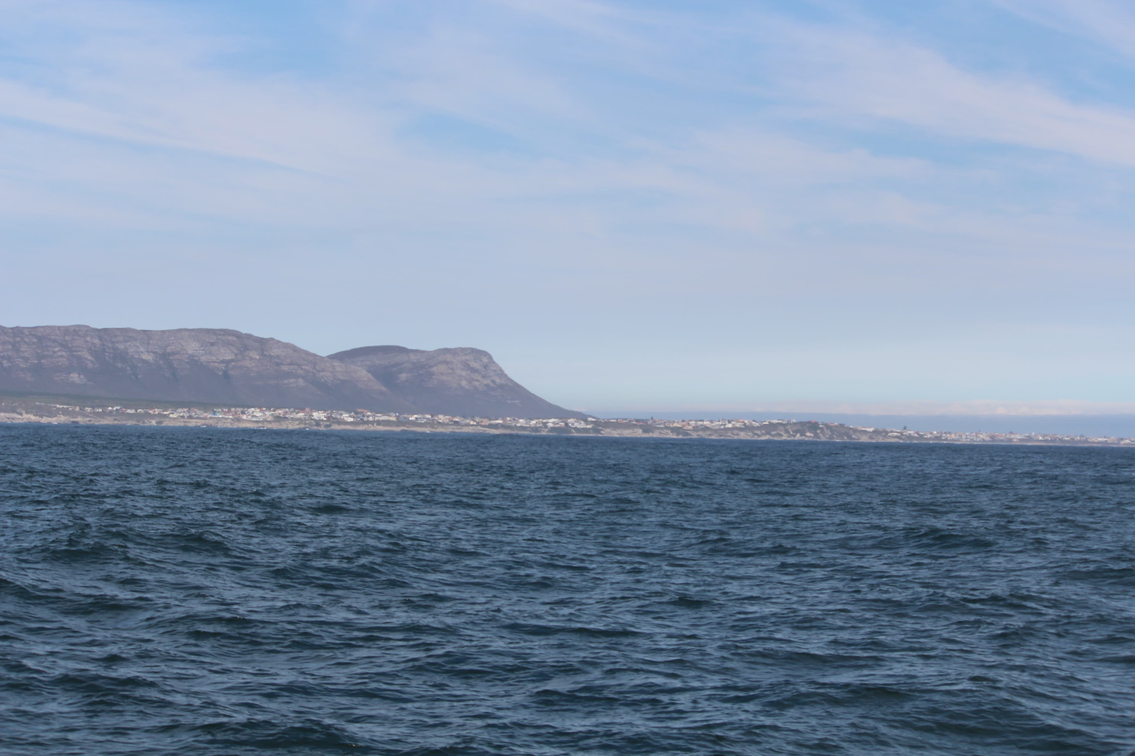 Hermanus Whale Watching