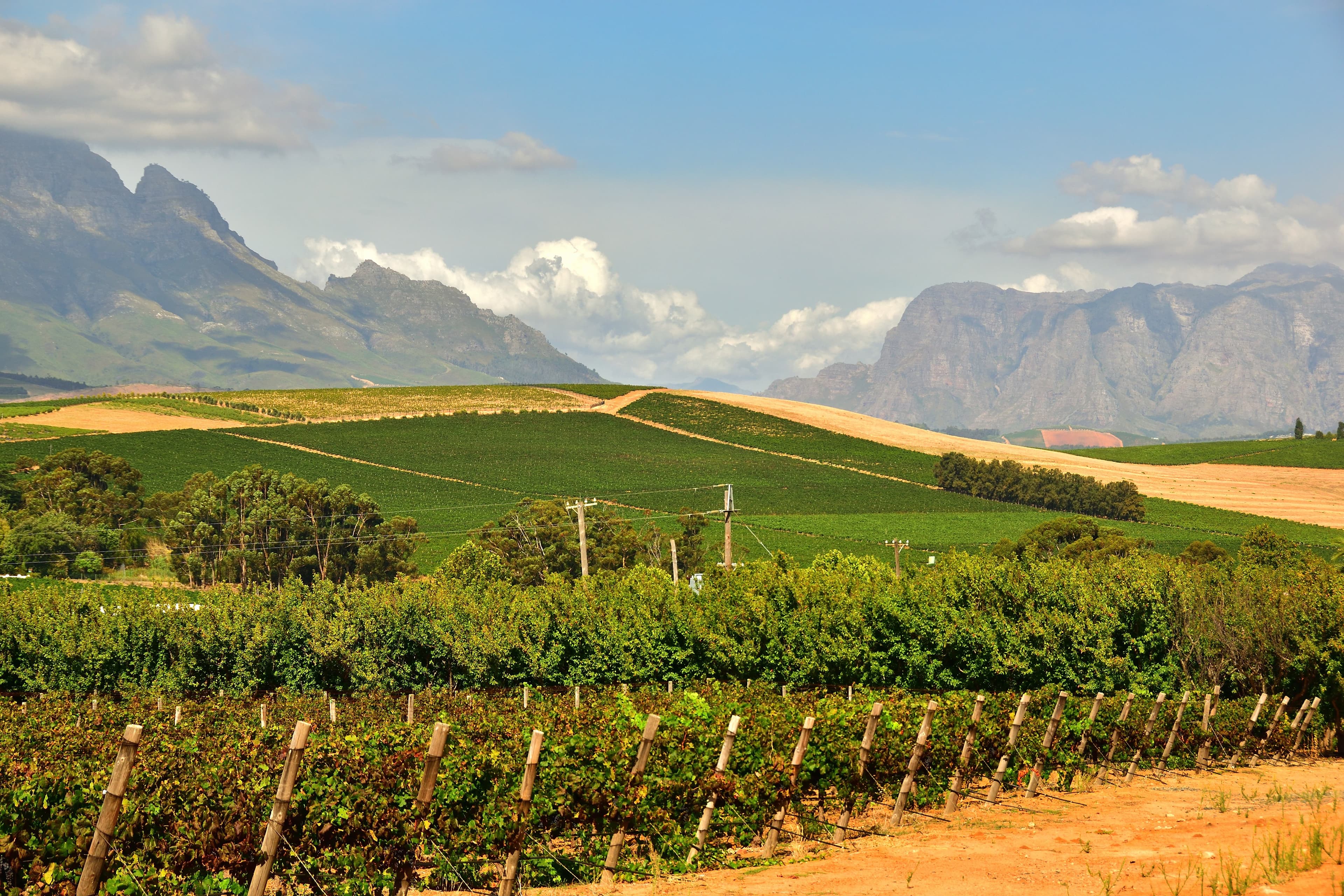 Stellenbosch & Franschhoek