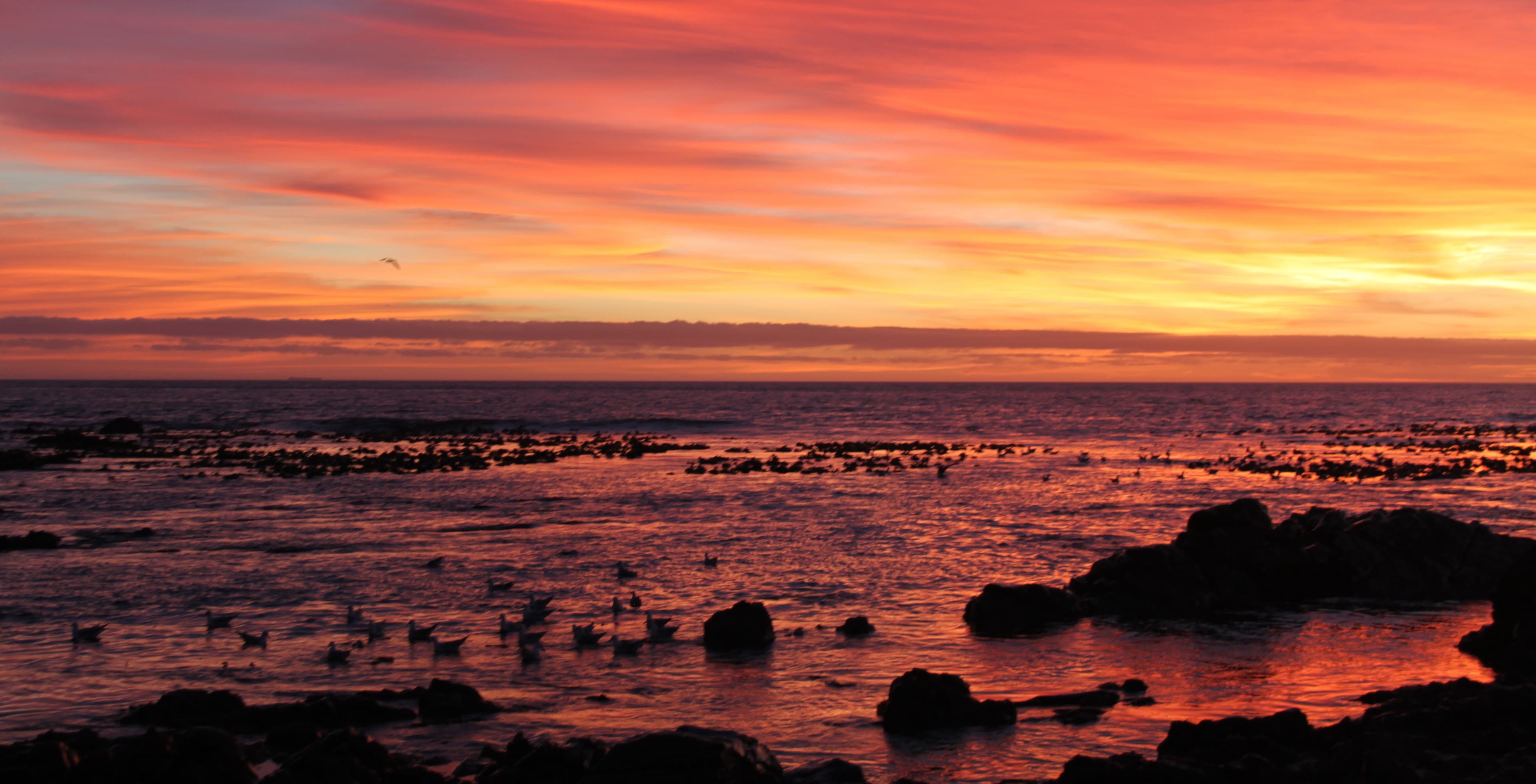 Cape Town sunset background